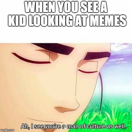 Ah,I see you are a man of culture as well | WHEN YOU SEE A KID LOOKING AT MEMES | image tagged in ah i see you are a man of culture as well | made w/ Imgflip meme maker