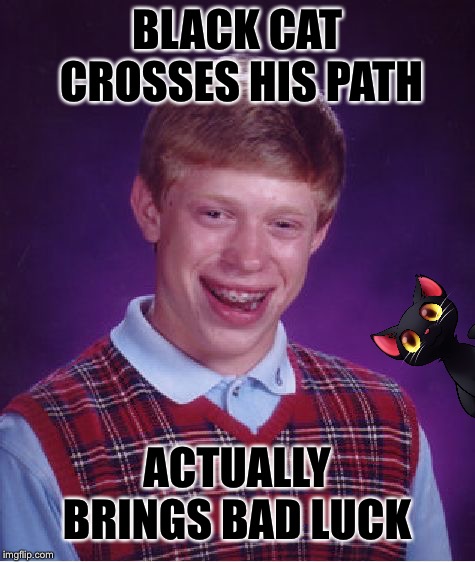 Bad Luck Brian Meme | BLACK CAT CROSSES HIS PATH ACTUALLY BRINGS BAD LUCK | image tagged in memes,bad luck brian | made w/ Imgflip meme maker