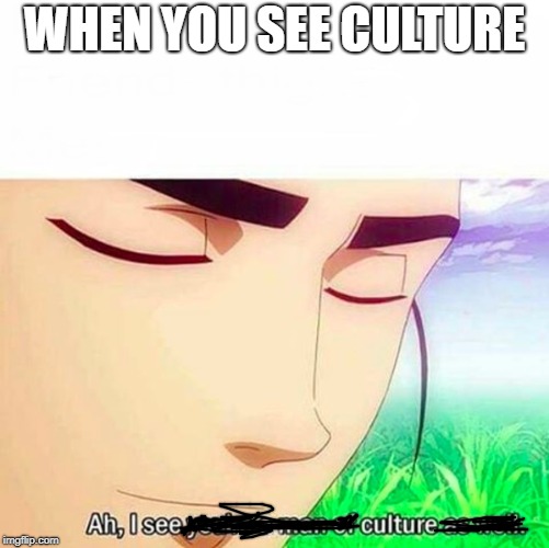 Ah,I see you are a man of culture as well | WHEN YOU SEE CULTURE | image tagged in ah i see you are a man of culture as well | made w/ Imgflip meme maker
