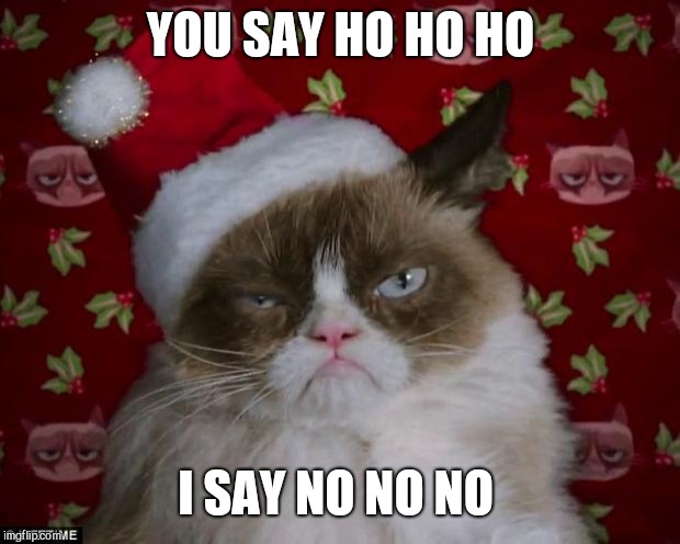 Grumpy Cat Christmas | YOU SAY HO HO HO I SAY NO NO NO | image tagged in grumpy cat christmas | made w/ Imgflip meme maker