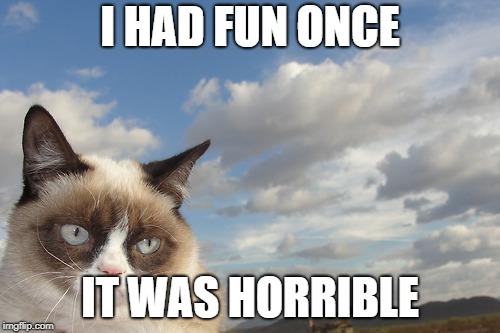 Grumpy Cat Sky | I HAD FUN ONCE; IT WAS HORRIBLE | image tagged in memes,grumpy cat sky,grumpy cat | made w/ Imgflip meme maker
