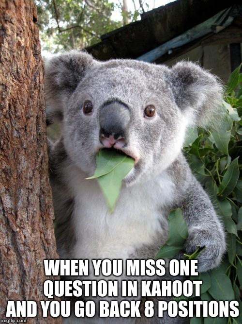 Surprised Koala Meme | WHEN YOU MISS ONE QUESTION IN KAHOOT AND YOU GO BACK 8 POSITIONS | image tagged in memes,surprised koala | made w/ Imgflip meme maker