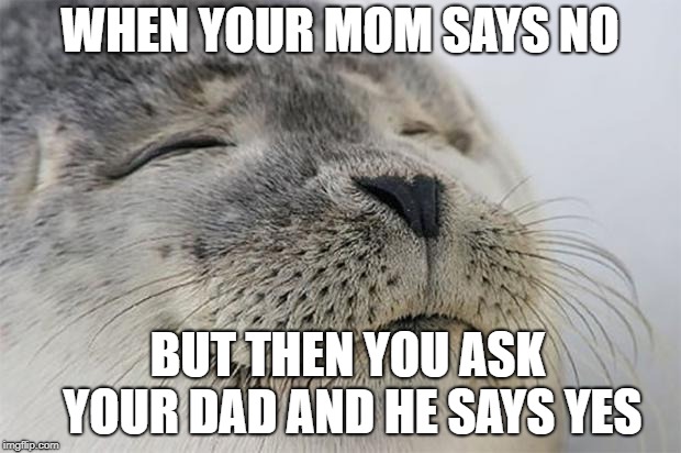 Satisfied Seal | WHEN YOUR MOM SAYS NO; BUT THEN YOU ASK YOUR DAD AND HE SAYS YES | image tagged in memes,satisfied seal | made w/ Imgflip meme maker