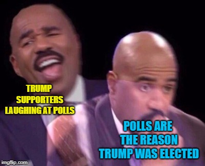 Steve Harvey Laughing Serious | TRUMP SUPPORTERS LAUGHING AT POLLS; POLLS ARE THE REASON TRUMP WAS ELECTED | image tagged in steve harvey laughing serious | made w/ Imgflip meme maker