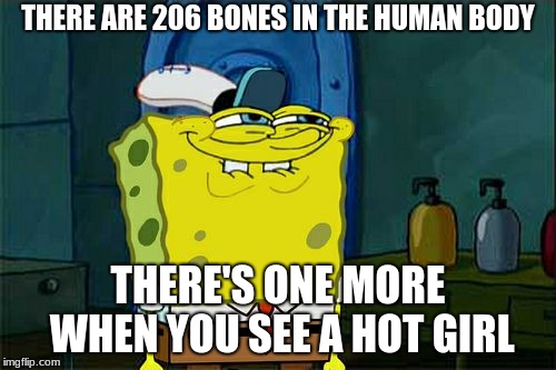 Don't You Squidward | THERE ARE 206 BONES IN THE HUMAN BODY; THERE'S ONE MORE WHEN YOU SEE A HOT GIRL | image tagged in memes,dont you squidward | made w/ Imgflip meme maker