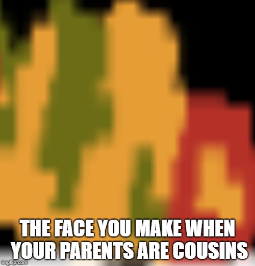 THE FACE YOU MAKE WHEN YOUR PARENTS ARE COUSINS | image tagged in memes | made w/ Imgflip meme maker