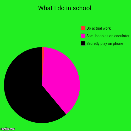 What I do in school | Secretly play on phone, Spell boobies on caculator, Do actual work | image tagged in funny,pie charts | made w/ Imgflip chart maker