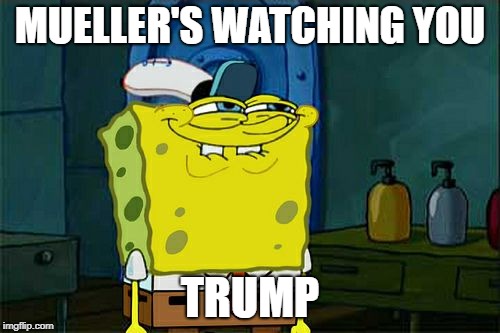 Mueller Meme | MUELLER'S WATCHING YOU; TRUMP | image tagged in memes,trump,mueller time | made w/ Imgflip meme maker