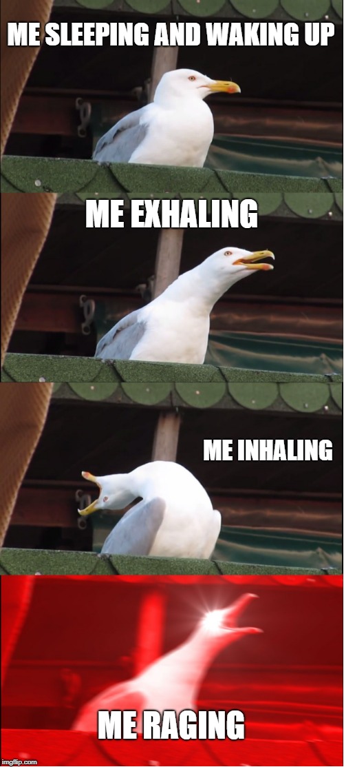 Inhaling Seagull | ME SLEEPING AND WAKING UP; ME EXHALING; ME INHALING; ME RAGING | image tagged in memes,inhaling seagull | made w/ Imgflip meme maker