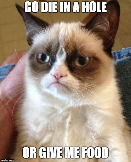 Grumpy Cat | GO DIE IN A HOLE; OR GIVE ME FOOD | image tagged in memes,grumpy cat | made w/ Imgflip meme maker