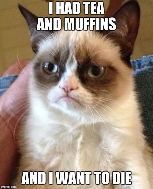 Grumpy Cat Meme | I HAD TEA AND MUFFINS; AND I WANT TO DIE | image tagged in memes,grumpy cat | made w/ Imgflip meme maker