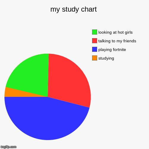 my study chart | studying, playing fortnite, talking to my friends, looking at hot girls | image tagged in funny,pie charts | made w/ Imgflip chart maker