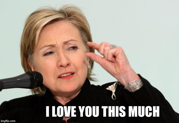 Hillary Clinton Fingers | I LOVE YOU THIS MUCH | image tagged in hillary clinton fingers | made w/ Imgflip meme maker