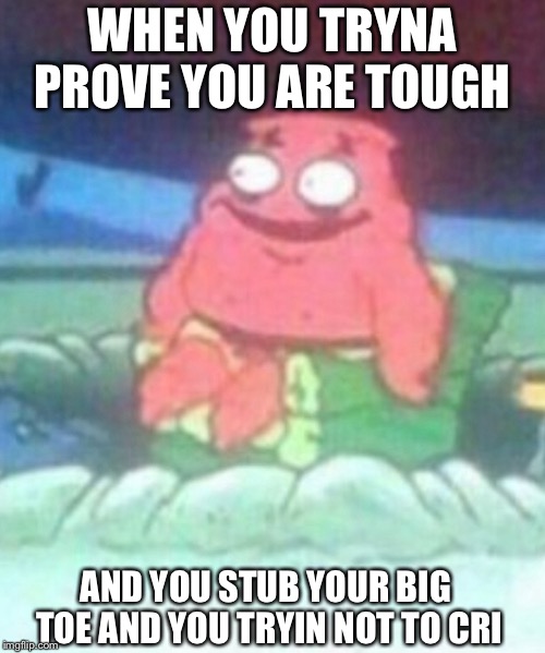 More spicier than my back hairs that i dont have xD | WHEN YOU TRYNA PROVE YOU ARE TOUGH; AND YOU STUB YOUR BIG TOE AND YOU TRYIN NOT TO CRI | image tagged in patrick,mental,depression,oof,funny memes,so true memes | made w/ Imgflip meme maker