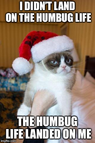 Grumpy Cat Christmas | I DIDN’T LAND ON THE HUMBUG LIFE; THE HUMBUG LIFE LANDED ON ME | image tagged in memes,grumpy cat christmas,grumpy cat | made w/ Imgflip meme maker