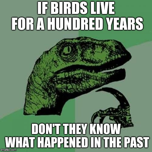 Philosoraptor | IF BIRDS LIVE FOR A HUNDRED YEARS; DON'T THEY KNOW WHAT HAPPENED IN THE PAST | image tagged in memes,philosoraptor | made w/ Imgflip meme maker