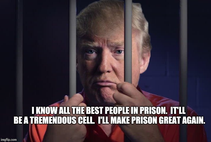 And Just Like That America Became Great Again. | I KNOW ALL THE BEST PEOPLE IN PRISON.  IT'LL BE A TREMENDOUS CELL.  I'LL MAKE PRISON GREAT AGAIN. | image tagged in trump in jail,trump unfit unqualified dangerous,impeach trump,stupid criminals,memes,meme | made w/ Imgflip meme maker