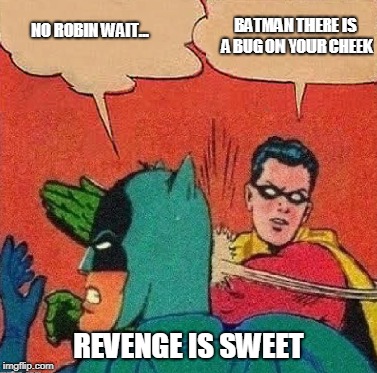 Bitter Sweet Revenge | REVENGE IS SWEET | image tagged in robin slapping batman,revenge,batman | made w/ Imgflip meme maker