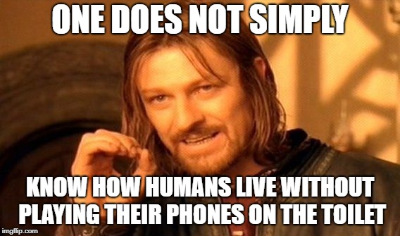 One Does Not Simply Meme | ONE DOES NOT SIMPLY; KNOW HOW HUMANS LIVE WITHOUT PLAYING THEIR PHONES ON THE TOILET | image tagged in memes,one does not simply | made w/ Imgflip meme maker