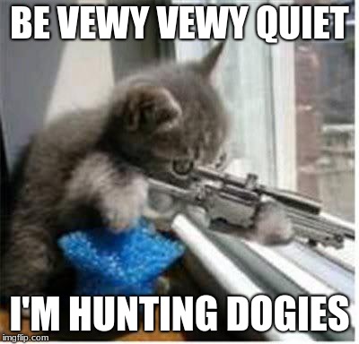 cats with guns | BE VEWY VEWY QUIET; I'M HUNTING DOGIES | image tagged in cats with guns | made w/ Imgflip meme maker