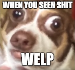 WHEN YOU SEEN SHIT; WELP | image tagged in creeper | made w/ Imgflip meme maker