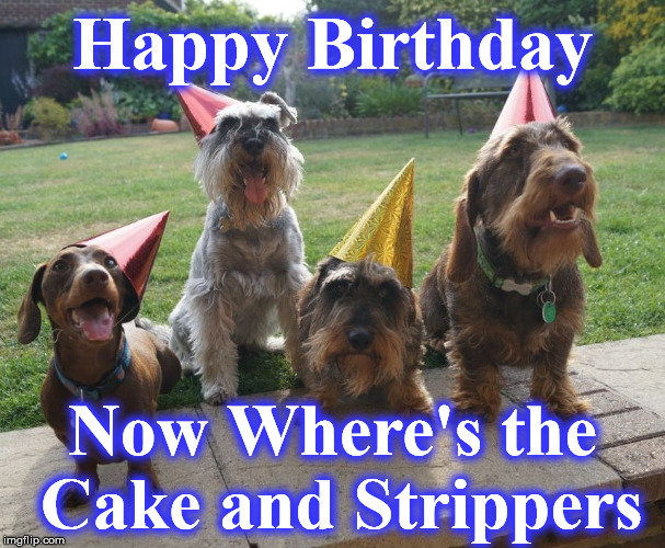 party | Happy Birthday; Now Where's the Cake and Strippers | image tagged in party | made w/ Imgflip meme maker