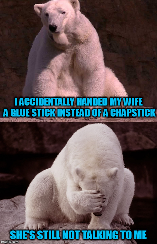 I drive her krazy | I ACCIDENTALLY HANDED MY WIFE A GLUE STICK INSTEAD OF A CHAPSTICK; SHE'S STILL NOT TALKING TO ME | image tagged in bad joke polar bear,memes,bad jokes | made w/ Imgflip meme maker