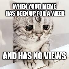 Sad cat is still sad. | WHEN YOUR MEME HAS BEEN UP FOR A WEEK; AND HAS NO VIEWS | image tagged in funny,memes,cats,sad cat,views,depressed cat | made w/ Imgflip meme maker