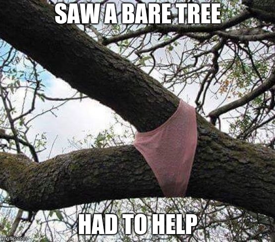 Perfect. | SAW A BARE TREE; HAD TO HELP | image tagged in memes,tree parts,cover up | made w/ Imgflip meme maker