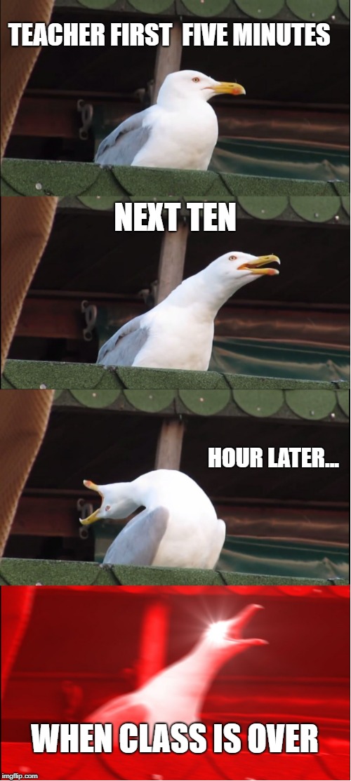 Inhaling Seagull | TEACHER FIRST  FIVE MINUTES; NEXT TEN; HOUR LATER... WHEN CLASS IS OVER | image tagged in memes,inhaling seagull | made w/ Imgflip meme maker