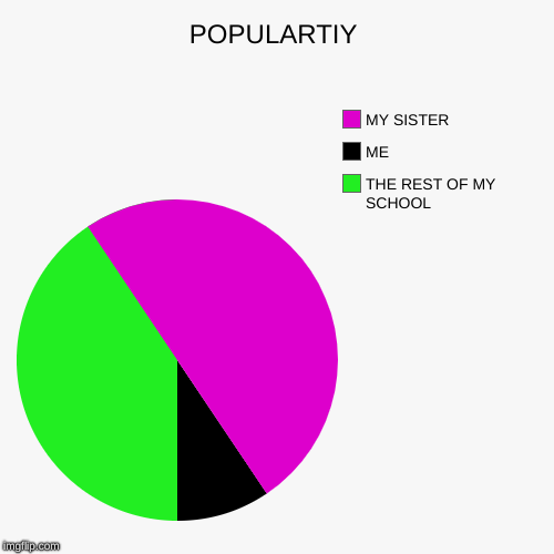 POPULARTIY | THE REST OF MY SCHOOL, ME, MY SISTER | image tagged in funny,pie charts | made w/ Imgflip chart maker