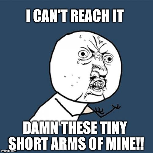 Y U No Meme | I CAN'T REACH IT DAMN THESE TINY SHORT ARMS OF MINE!! | image tagged in memes,y u no | made w/ Imgflip meme maker