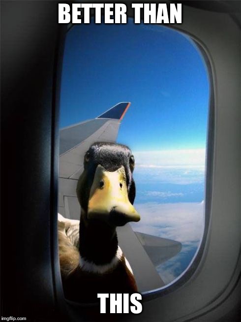 Let Me In Duck | BETTER THAN THIS | image tagged in let me in duck | made w/ Imgflip meme maker