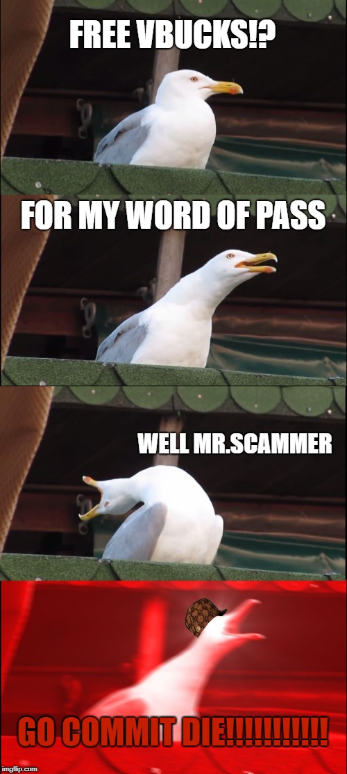 Inhaling Seagull | FREE VBUCKS!? FOR MY WORD OF PASS; WELL MR.SCAMMER; GO COMMIT DIE!!!!!!!!!!! | image tagged in memes,inhaling seagull,scumbag | made w/ Imgflip meme maker
