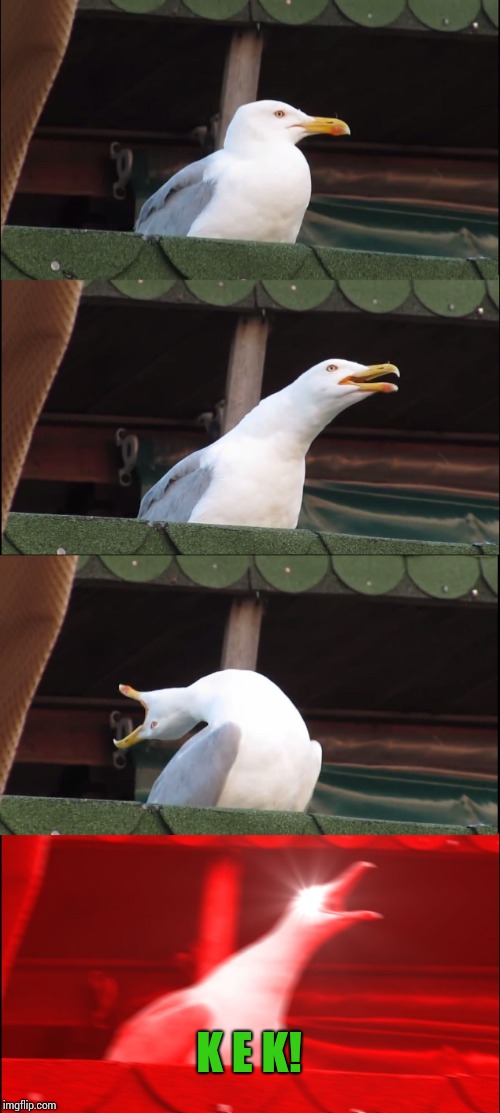 Inhaling Seagull Meme | K E K! | image tagged in memes,inhaling seagull | made w/ Imgflip meme maker