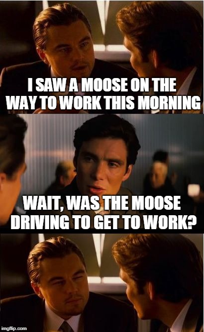 Inception Meme | I SAW A MOOSE ON THE WAY TO WORK THIS MORNING; WAIT, WAS THE MOOSE DRIVING TO GET TO WORK? | image tagged in memes,inception | made w/ Imgflip meme maker