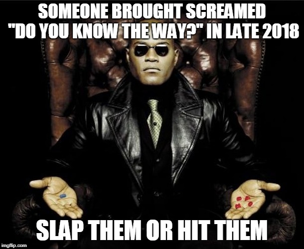 Red or blue pill | SOMEONE BROUGHT SCREAMED "DO YOU KNOW THE WAY?" IN LATE 2018; SLAP THEM OR HIT THEM | image tagged in red or blue pill | made w/ Imgflip meme maker