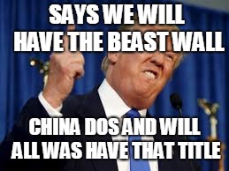 Donlad trump | SAYS WE WILL HAVE THE BEAST WALL; CHINA DOS AND WILL ALL WAS HAVE THAT TITLE | image tagged in donlad trump | made w/ Imgflip meme maker