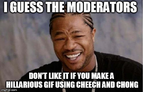 Yo Dawg Heard You | I GUESS THE MODERATORS; DON'T LIKE IT IF YOU MAKE A HILLARIOUS GIF USING CHEECH AND CHONG | image tagged in memes,yo dawg heard you | made w/ Imgflip meme maker