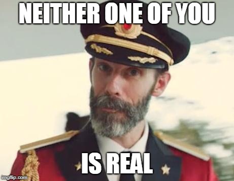 Captain Obvious | NEITHER ONE OF YOU IS REAL | image tagged in captain obvious | made w/ Imgflip meme maker