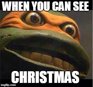 teen age mutant ninja turtle | WHEN YOU CAN SEE; CHRISTMAS | image tagged in teen age mutant ninja turtle | made w/ Imgflip meme maker