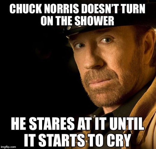 Check Norris | image tagged in chuck norris flex | made w/ Imgflip meme maker