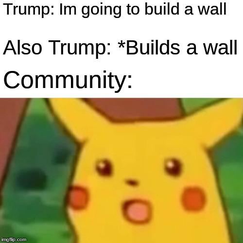 Surprised Pikachu Meme | Trump: Im going to build a wall; Also Trump: *Builds a wall; Community: | image tagged in memes,surprised pikachu | made w/ Imgflip meme maker