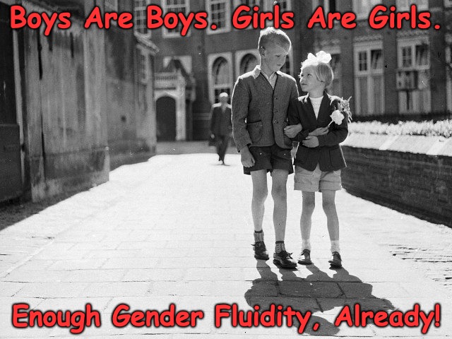Enough Gender Fluidity, Already! | Boys Are Boys. Girls Are Girls. Enough Gender Fluidity, Already! | image tagged in gender,boys,girls | made w/ Imgflip meme maker