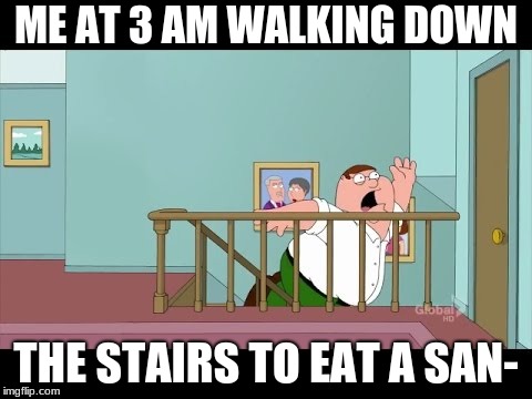 Peter falling down the Stairs | ME AT 3 AM WALKING DOWN; THE STAIRS TO EAT A SAN- | image tagged in peter falling down the stairs | made w/ Imgflip meme maker