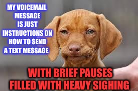 We really need to talk.NO,NO WE DON’T | MY VOICEMAIL MESSAGE IS JUST INSTRUCTIONS ON HOW TO SEND A TEXT MESSAGE; WITH BRIEF PAUSES FILLED WITH HEAVY SIGHING | image tagged in disappointed dog,im busy,message,not,conversation | made w/ Imgflip meme maker