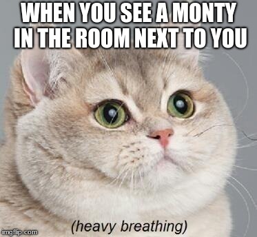 Heavy Breathing Cat | WHEN YOU SEE A MONTY IN THE ROOM NEXT TO YOU | image tagged in memes,heavy breathing cat | made w/ Imgflip meme maker