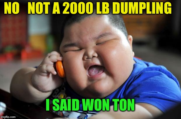  He’s been this way since he came out of his mums va-China. | NO   NOT A 2000 LB DUMPLING; I SAID WON TON | image tagged in fat asian kid,weight,food,chinese food | made w/ Imgflip meme maker