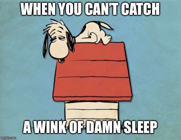 Snoopy bushed | WHEN YOU CAN’T CATCH; A WINK OF DAMN SLEEP | image tagged in snoopy bushed | made w/ Imgflip meme maker