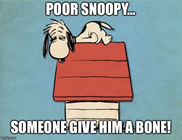 Snoopy bushed | POOR SNOOPY... SOMEONE GIVE HIM A BONE! | image tagged in snoopy bushed | made w/ Imgflip meme maker